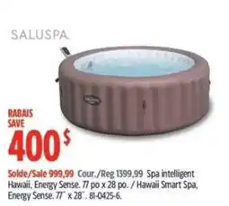 Canadian Tire Saluspa hawaii smart spa energy sense offer
