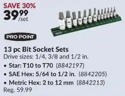 Princess Auto Pro Point 13 pc Bit Socket Sets offer