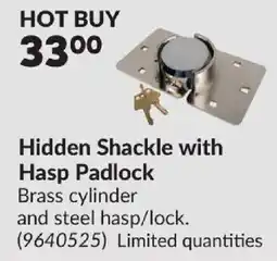 Princess Auto Hidden Shackle with Hasp Padlock offer