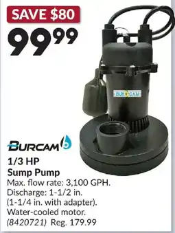 Princess Auto Burcam 1/3 Hp Sump Pump offer