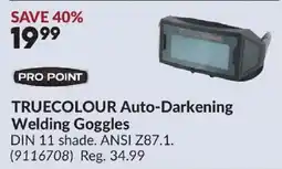 Princess Auto Pro Point Truecolour Auto-Darkening Welding Goggles offer