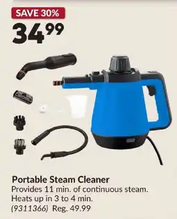Princess Auto Portable Steam Cleaner offer