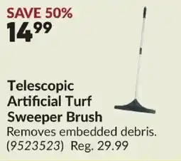 Princess Auto Telescopic Artificial Turf Sweeper Brush offer
