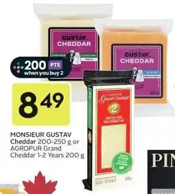 Sobeys Monsieur gustav cheddar offer