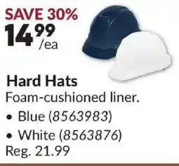 Princess Auto Hard Hats offer