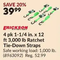Princess Auto Erickson 4 pk 1-1/4 in. x 12 ft 3,000 lb Ratchet Tie-Down Straps offer