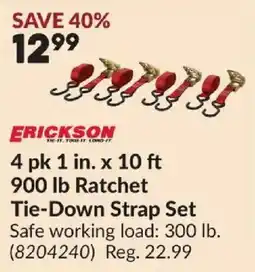 Princess Auto Erickson tie-down strap set offer
