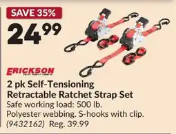 Princess Auto Erickson self-tensioning retractable ratchet strap set offer