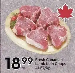 Sobeys Fresh Canadian Lamb Loin Chops offer
