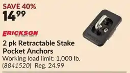 Princess Auto Erickson retractable stake pocket anchors offer