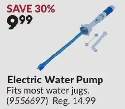 Princess Auto Electric Water Pump offer
