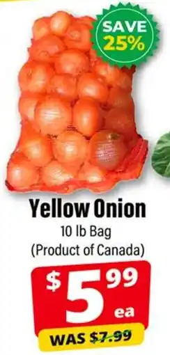Iqbal Foods Yellow Onion offer