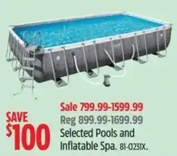 Canadian Tire Selected Pools and Inflatable Spa offer