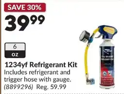 Princess Auto 1234yf refrigerant kit offer