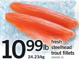 Loblaws fresh steelhead trout fillets offer