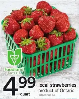 Loblaws local strawberries offer