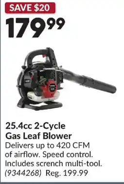 Princess Auto Pro Point 25.4cc 2-Cycle Gas Leaf Blower offer