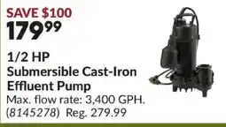 Princess Auto 1/2 Hp Submersible Cast-Iron Effluent Pump offer