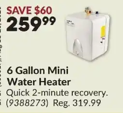 Princess Auto 6 gallon mini water heater offer
