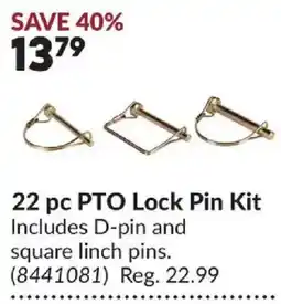 Princess Auto 22 pc PTO Lock Pin Kit offer