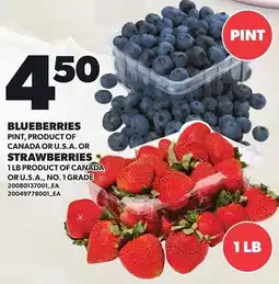 Loblaws Blueberries Strawberries offer