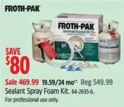 Canadian Tire Froth-pak sealant spray foam kit offer