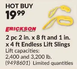 Princess Auto Erickson endless lift slings offer