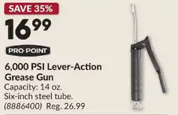 Princess Auto Pro Point 6,000 PSI Lever-Action Grease Gun offer