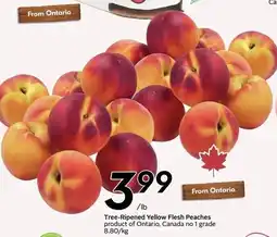 Sobeys Tree-Ripened Yellow Flesh Peaches offer