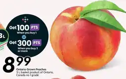 Sobeys Ontario Grown Peaches offer