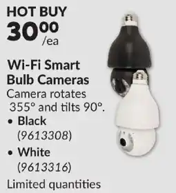 Princess Auto Wi-Fi Smart Bulb Cameras offer
