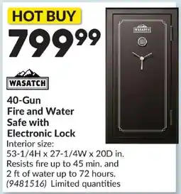 Princess Auto Wasatch 40-gun fire and water safe with electronic lock offer