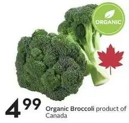 Sobeys Organic Broccoli offer