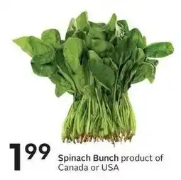 Sobeys Spinach Bunch offer