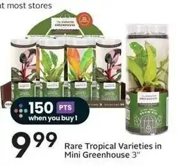 Sobeys The Forestry Greenhouse offer