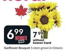 Sobeys Sunflower Bouquet offer