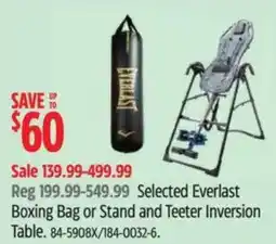 Canadian Tire Everlast boxing bag or stand and teeter inversion table offer