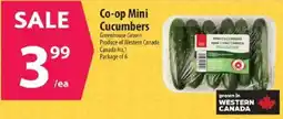 Co-op Co-op mini cucumbers offer