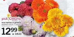Loblaws pick ontario local dahlias or gerberas offer