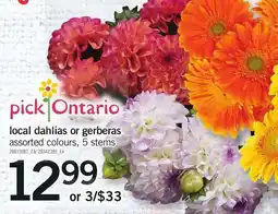 Loblaws pick ontario local dahlias or gerberas offer