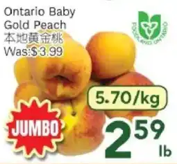 Ample Food Market Ontario Baby Gold Peach offer