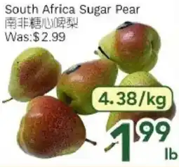 Ample Food Market South Africa Sugar Pear offer