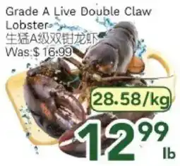 Ample Food Market Live Double Claw Lobster offer