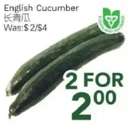 Ample Food Market English Cucumber offer
