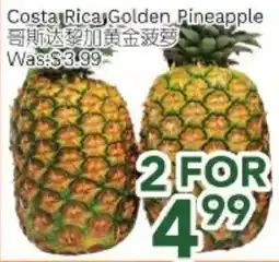 Ample Food Market Costa Rica Golden Pineapple offer