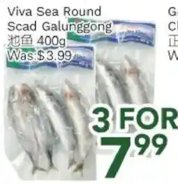 Ample Food Market Viva Sea Round Scad Galunggong offer