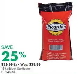 Kent Picardie black sunflower offer