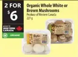 Co-op Organic Whole White or Brown Mushrooms offer
