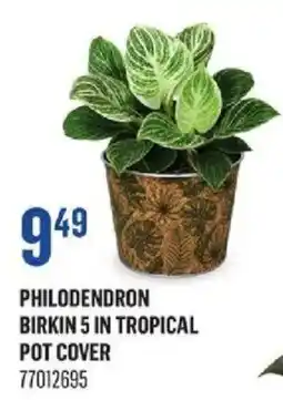 Canac Philodendron Birkin 5 In Tropical Pot Cover offer