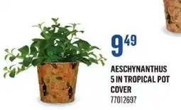 Canac Aeschynanthus 5 in tropical pot cover offer